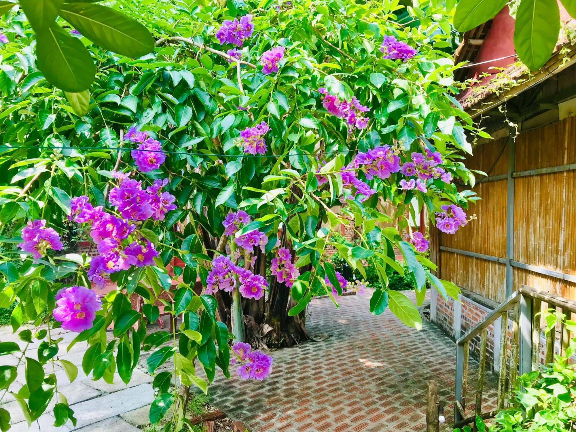 Lake Retreat Ninh Binh Zewnętrze zdjęcie