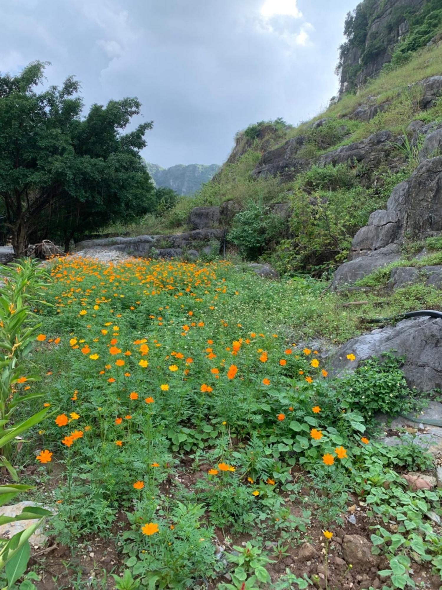 Lake Retreat Ninh Binh Zewnętrze zdjęcie