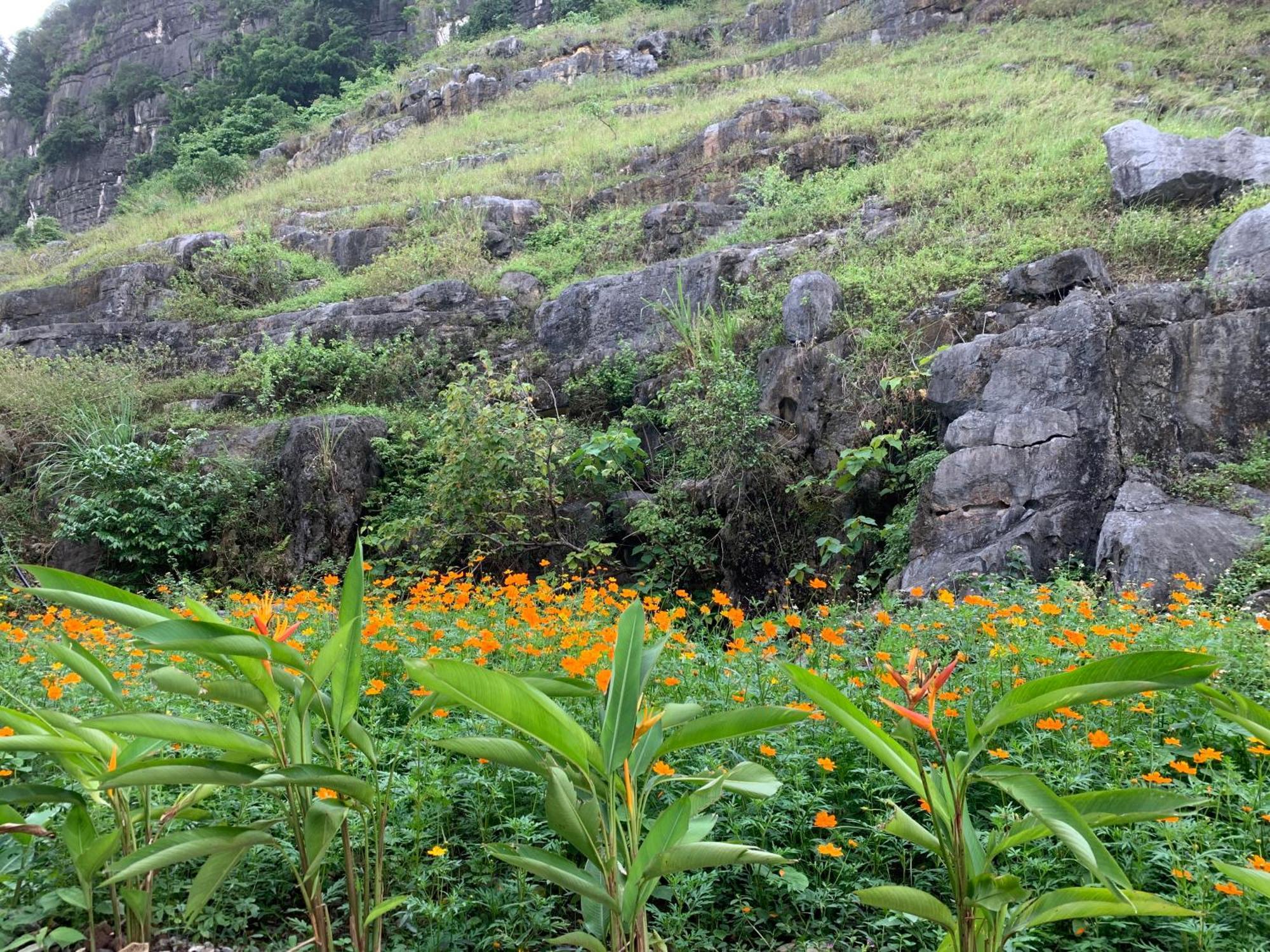 Lake Retreat Ninh Binh Zewnętrze zdjęcie